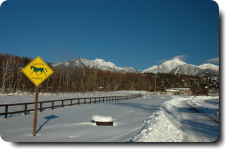 雪の谷口牧場