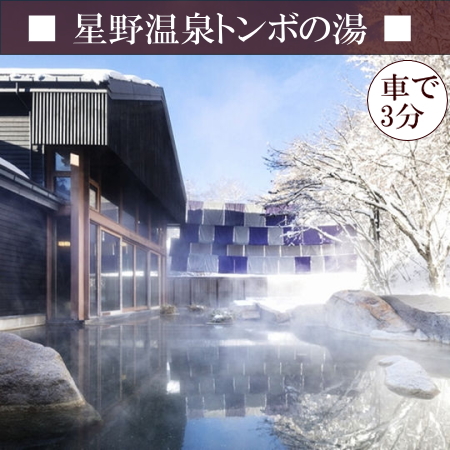 【星野温泉トンボの湯】　雪が降るととっても素敵な雪見風呂♪深くてゆったりとした内風呂もおすすめ☆彡