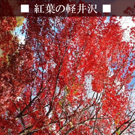 【紅葉】　星野エリアの紅葉。軽井沢の紅葉も素敵です！車３分