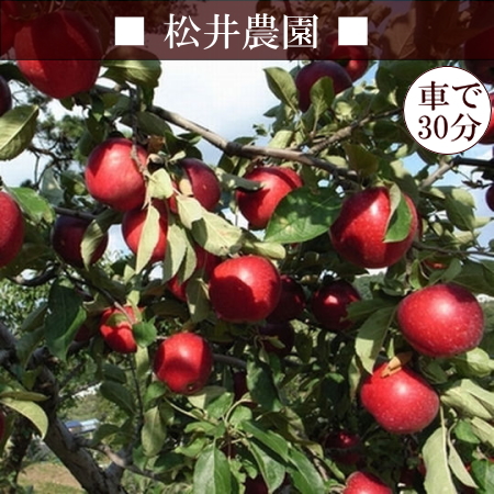 【松井農園】リンゴ狩りが楽しめるのも・・・12月上旬までの予定です♪