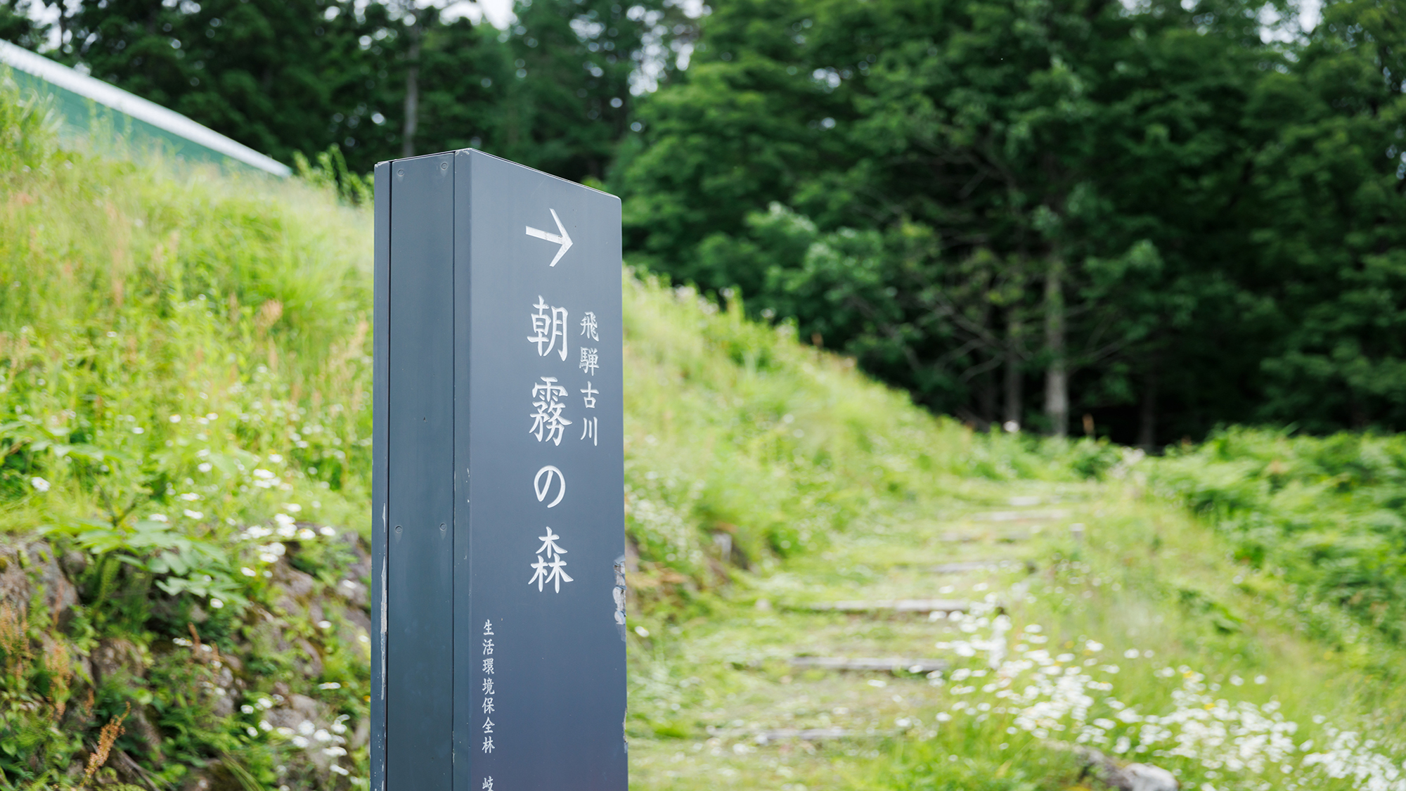 周辺散策イメージ