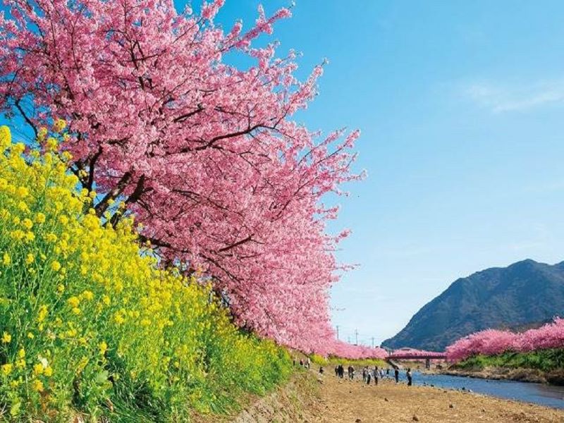 至福の旨みが溢れ出す！厳選3種の中華料理フェア 1泊2食付きバイキング