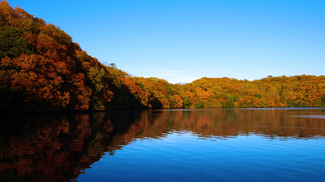 伊豆の紅葉を満喫しよう！！バイキング＆飲み放題付き