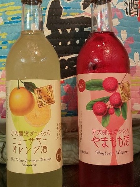 一年中！！生ビール三昧！1泊2食バイキングプラン！！