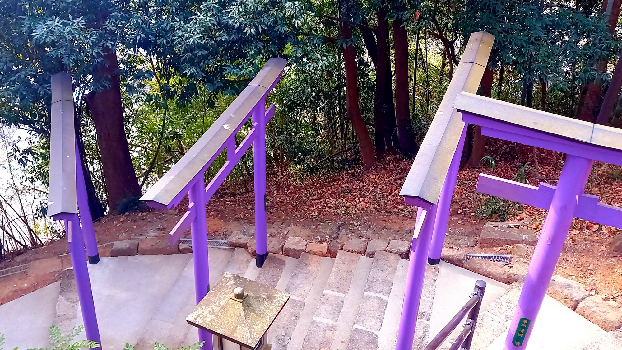 珍しい紫色の鳥居◆織姫神社ならではの優美な佇まいが、訪れる人を神秘の世界へ誘います。