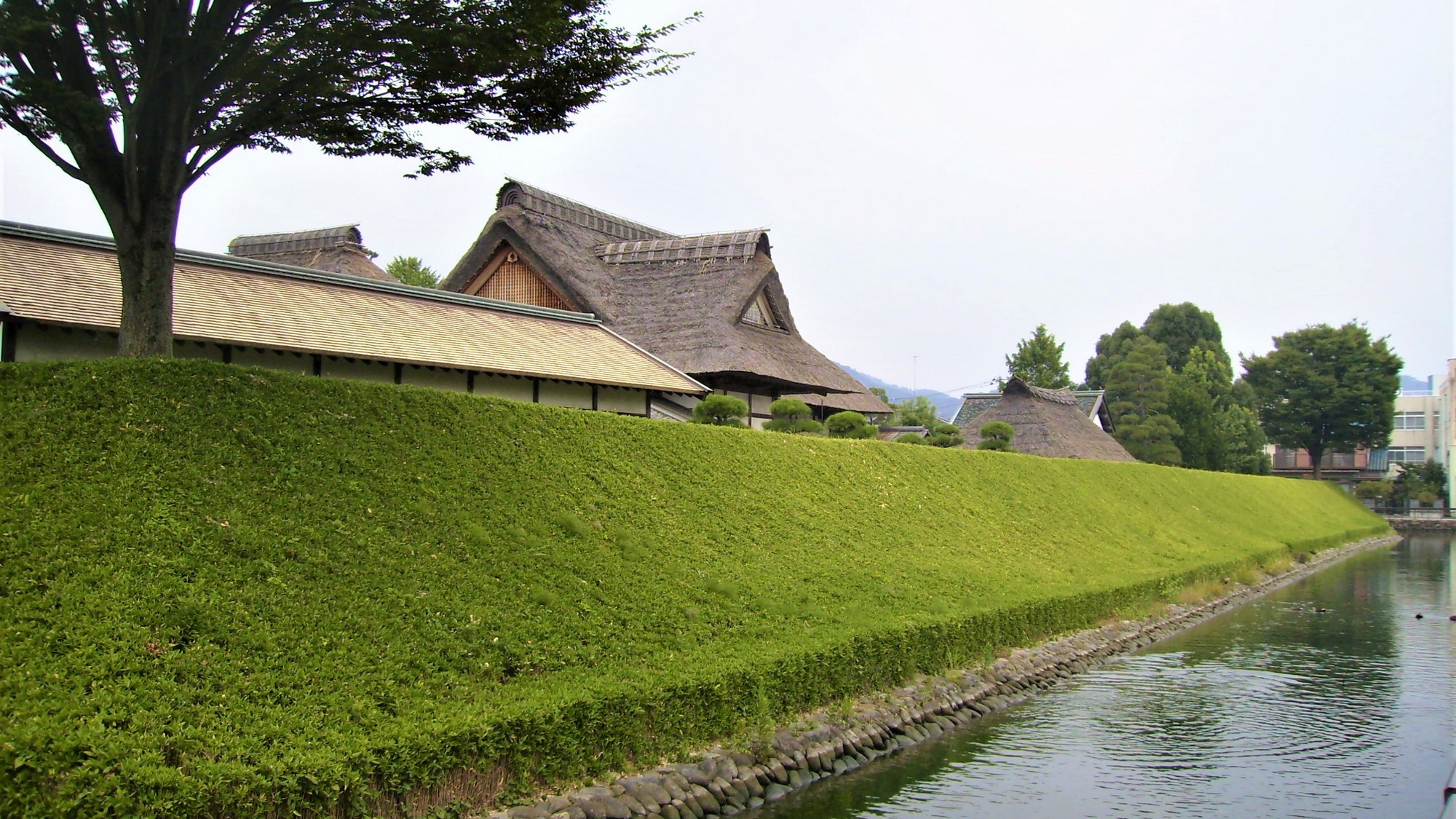 日本遺産に認定された日本最古の学校・足利学校◆悠久の歴史を感じる特別な旅を。