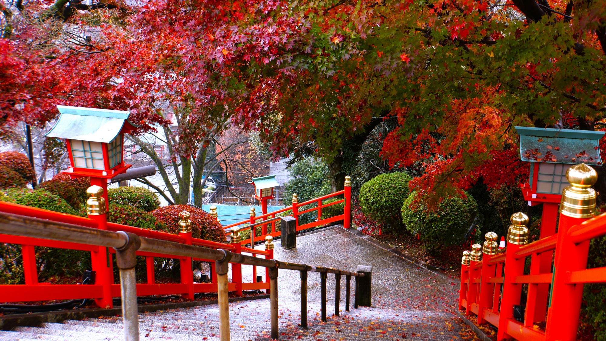 秋限定の絶景◆織姫神社の紅葉と足利の街並みを一望しながら、心癒されるひとときを。