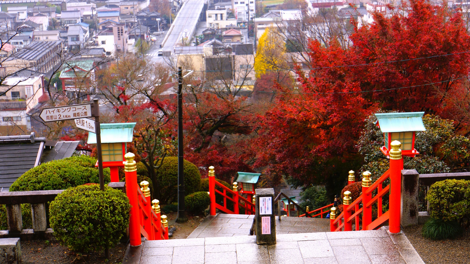 秋限定の絶景〇織姫神社の紅葉と足利の街並みを一望しながら、心癒されるひとときを。