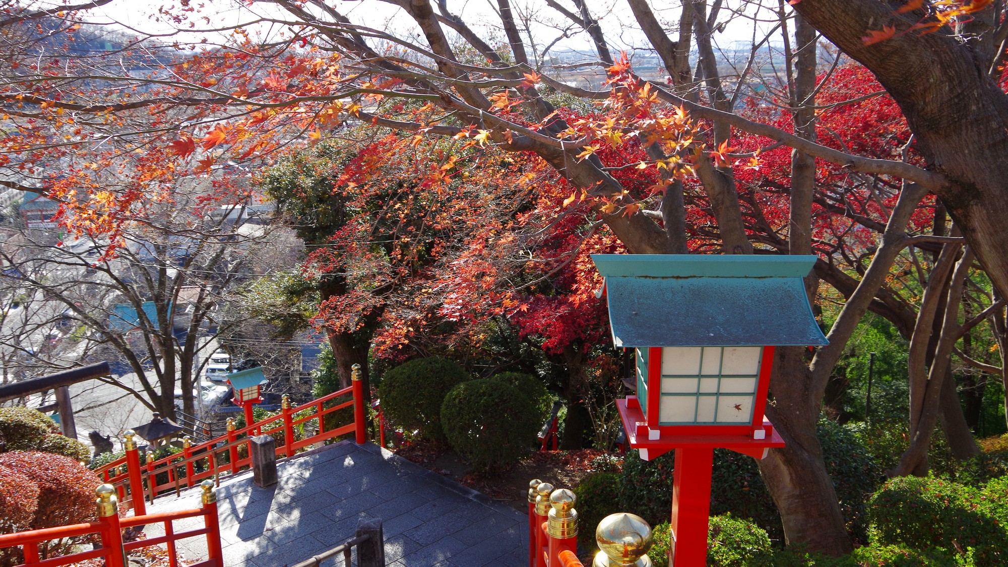 秋限定の絶景◆織姫神社の紅葉と足利の街並みを一望しながら、心癒されるひとときを。
