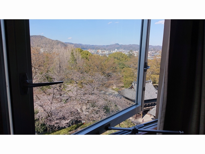 客室から眺める桜