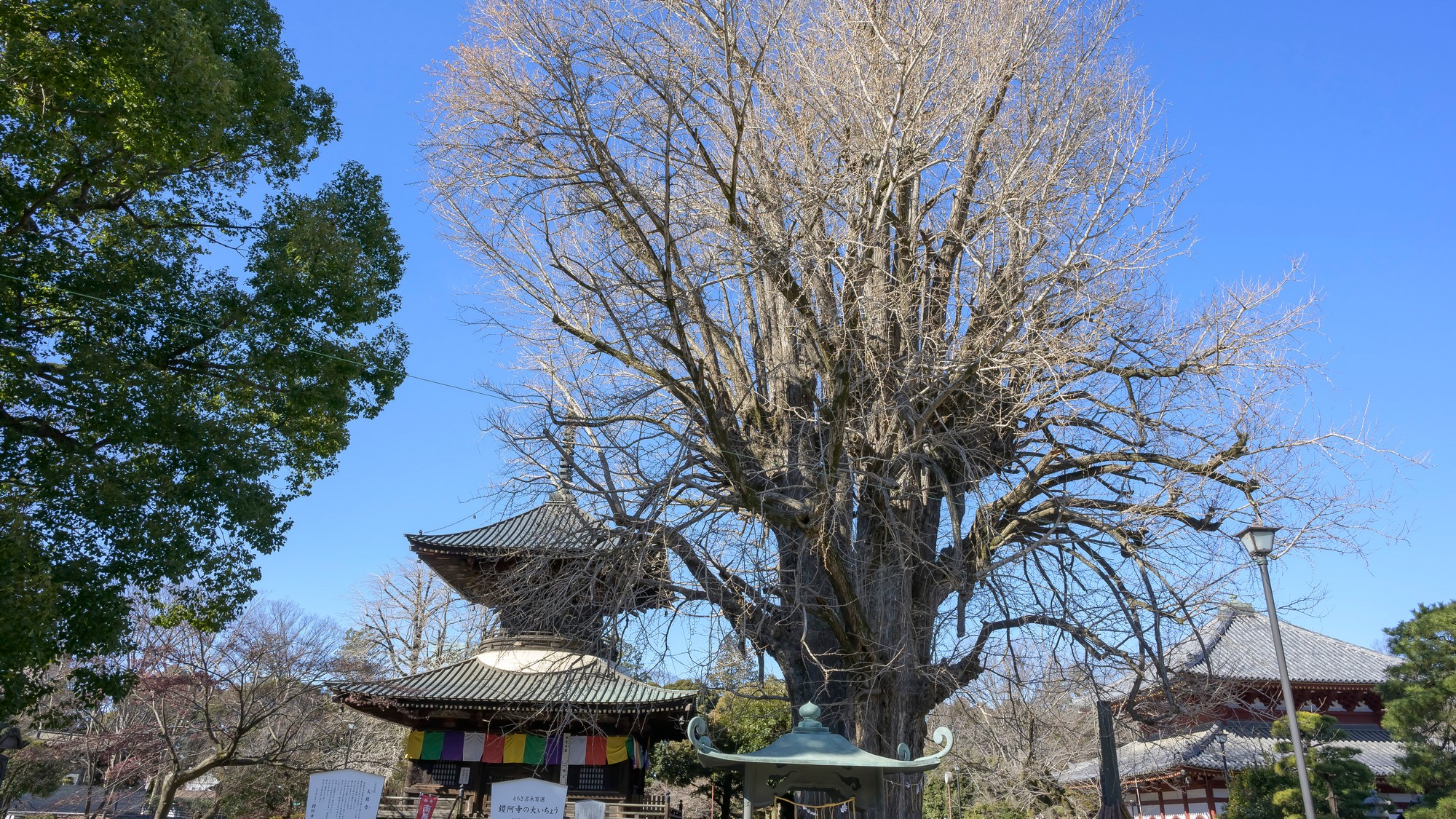 四季折々の美しさを楽しめる鑁阿寺〇歴史ある名刹が旅のひとときを彩ります。