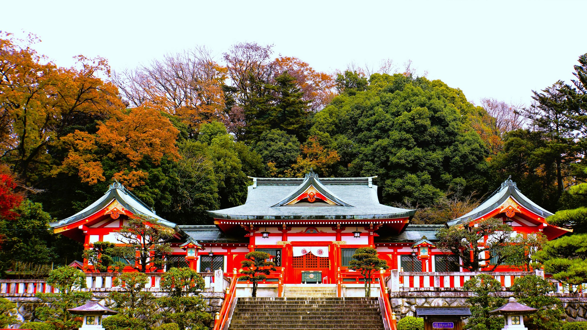 織姫神社◆朱塗りの鮮やかな社殿と絶景が魅力。縁結び・開運のご利益にあやかる旅を♪