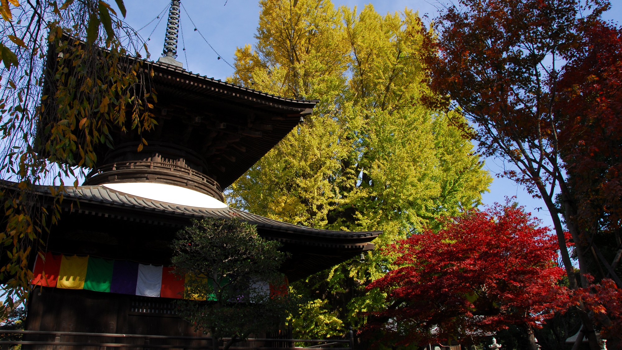 四季折々の美しさを楽しめる鑁阿寺◆歴史ある名刹が旅のひとときを彩ります。
