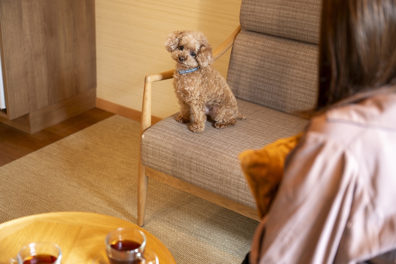 【秋冬SALE】《ペットルーム》当ホテルおすすめの土地の恵み会席プラン！《25年4月ニューオープン》