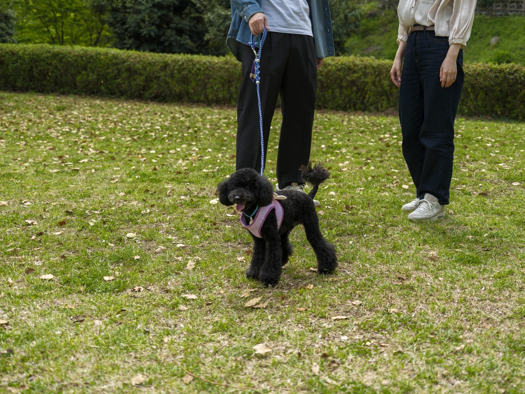 ≪ペットルーム≫【お部屋食】新登場！愛犬と客室でご夕食！【おこもり旅にオススメ】二食付プラン
