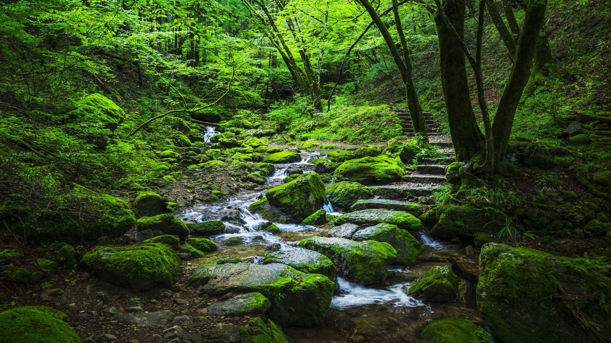 御岳山「ロックガーデン（岩石園）」