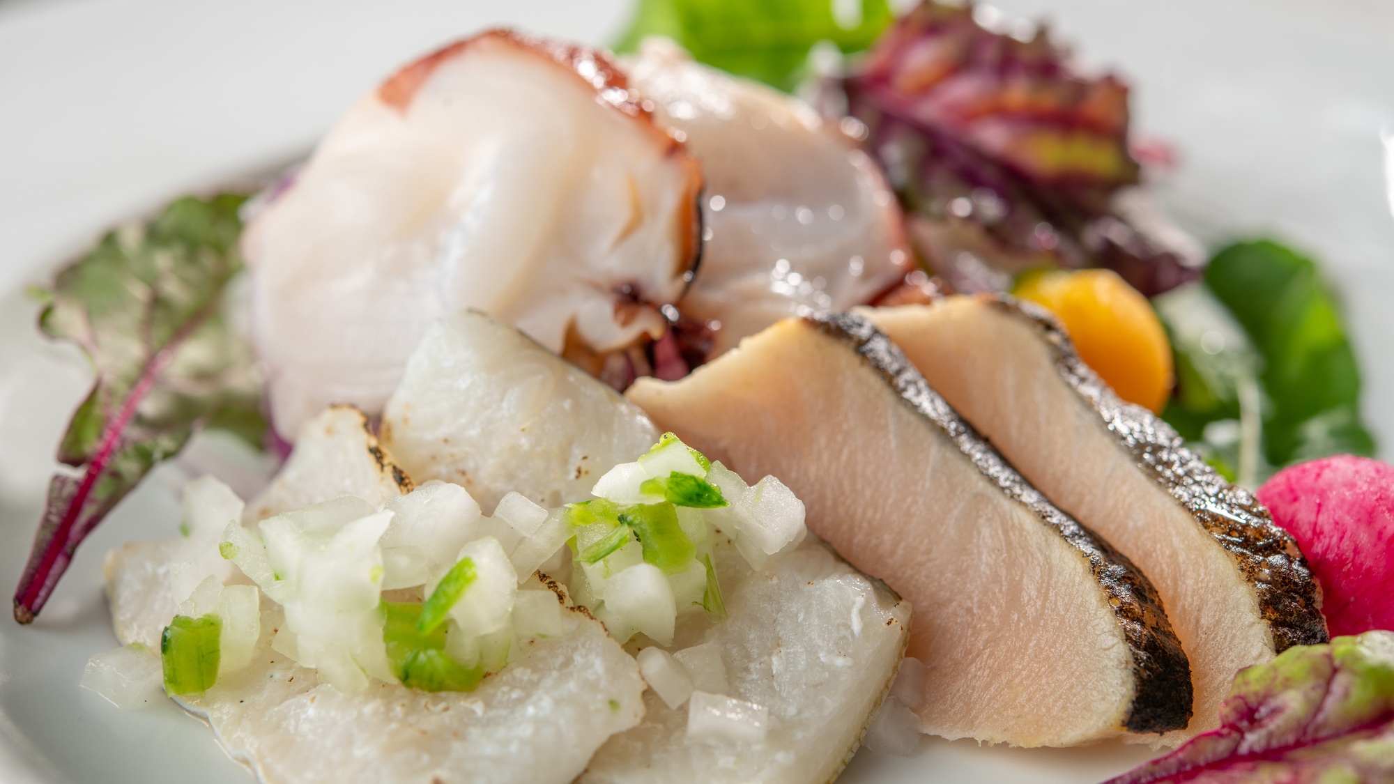 【土地の恵み会席】夏(2026年6月～7月16日)造り　鯰　鰆　焼霜水蛸　サラダ仕立て