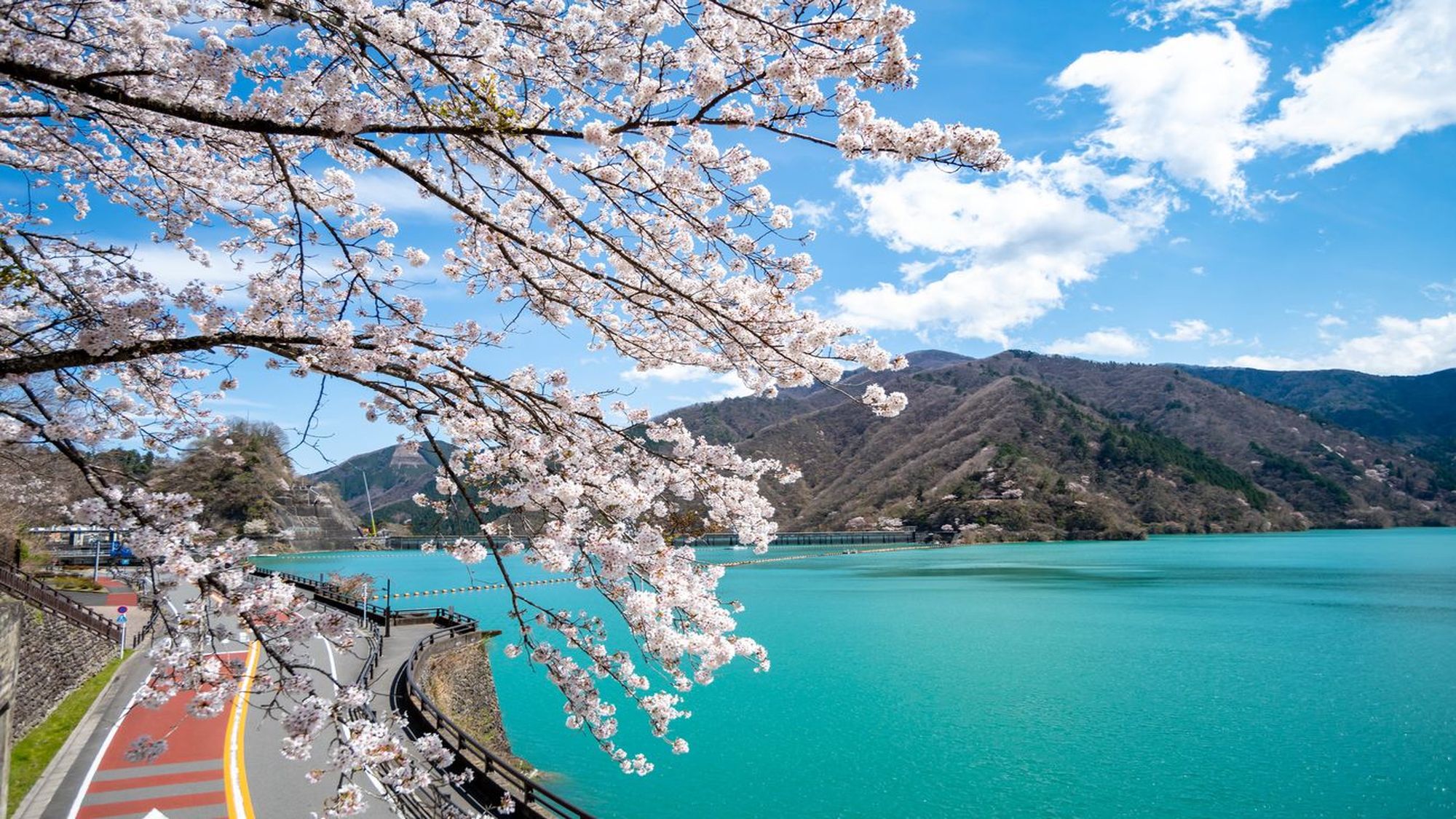 奥多摩湖畔（さくら散策）