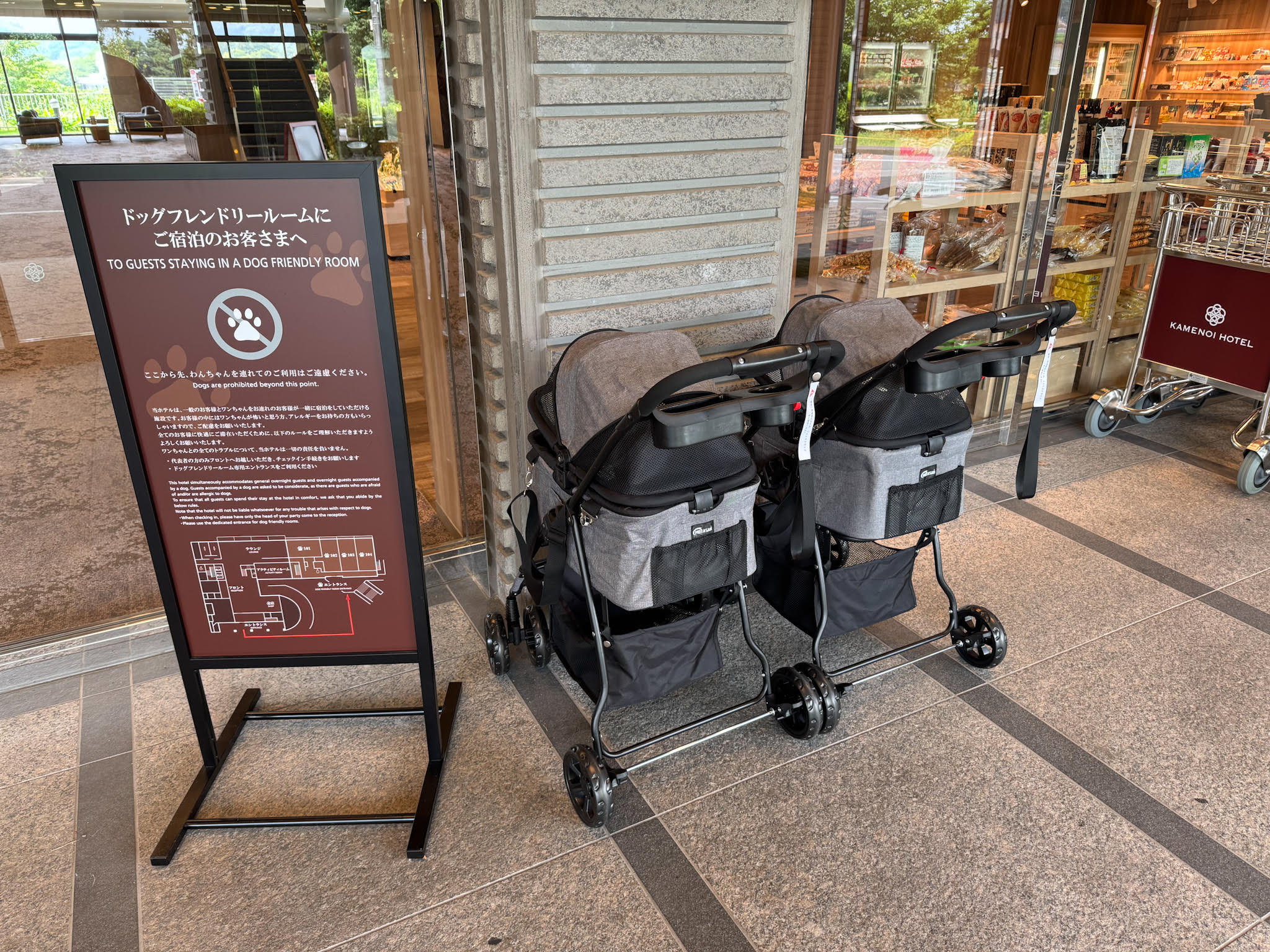 レンタルドッグカート