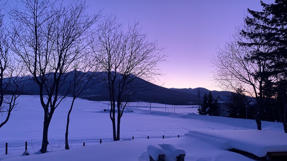 【楽天月末セール】これぞ北海道！雄大な十勝岳連峰と畑の緑と輝く雪景色のプラン♪