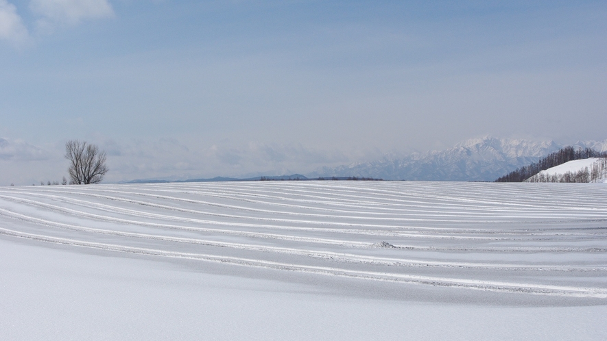 ★春　雪解けを待ち融雪剤の散布