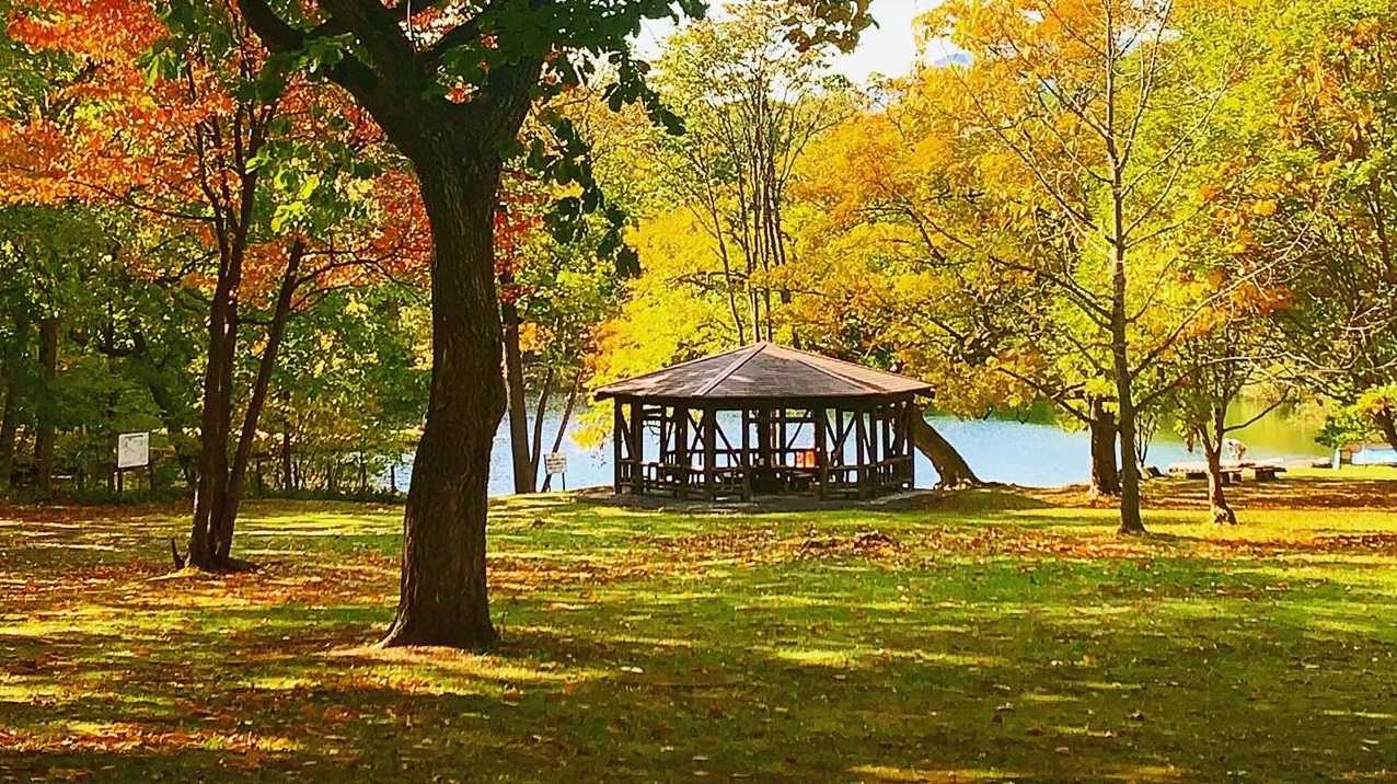 ★鳥沼公園の東屋