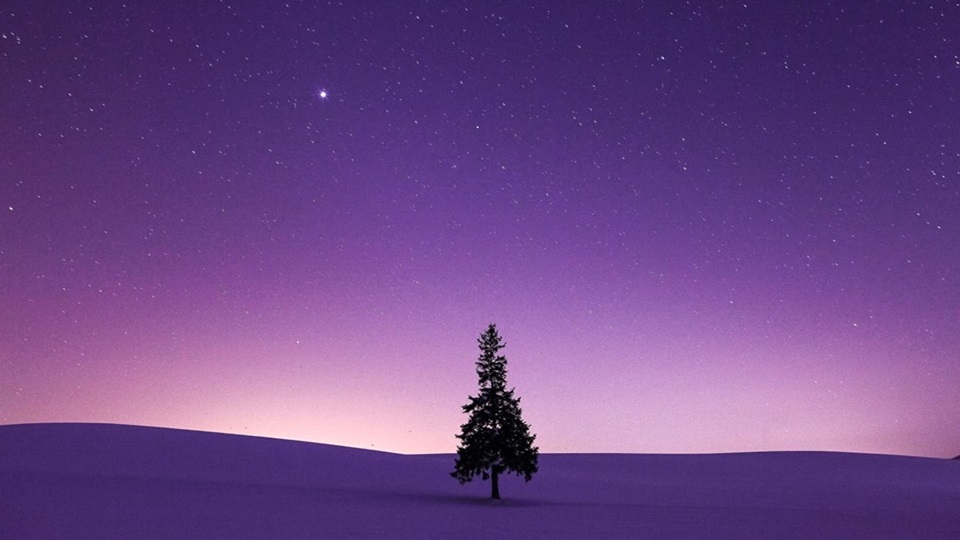 ★冬のクリスマスツリー