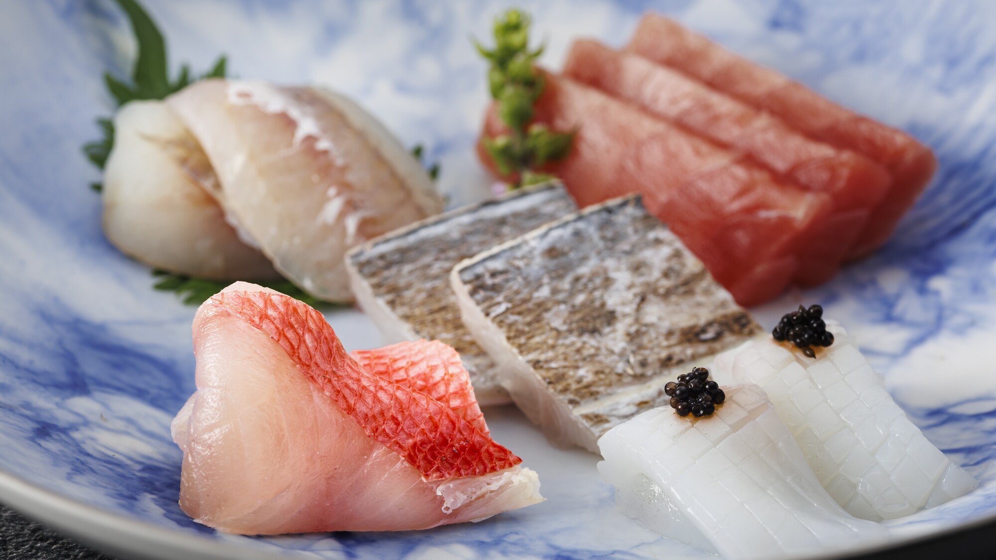 【特別会席】2026年夏　お造り