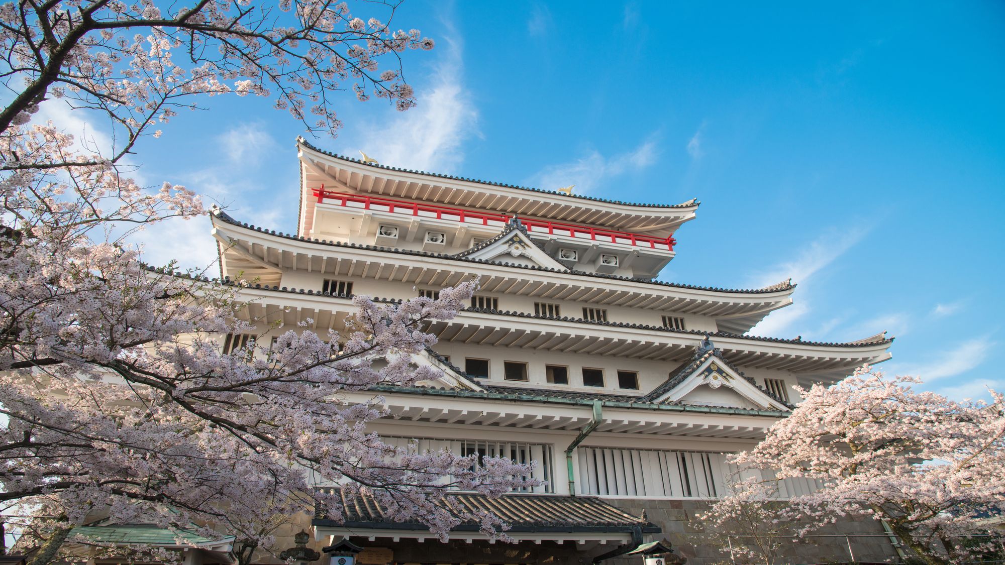 城と桜の絶景「熱海城」