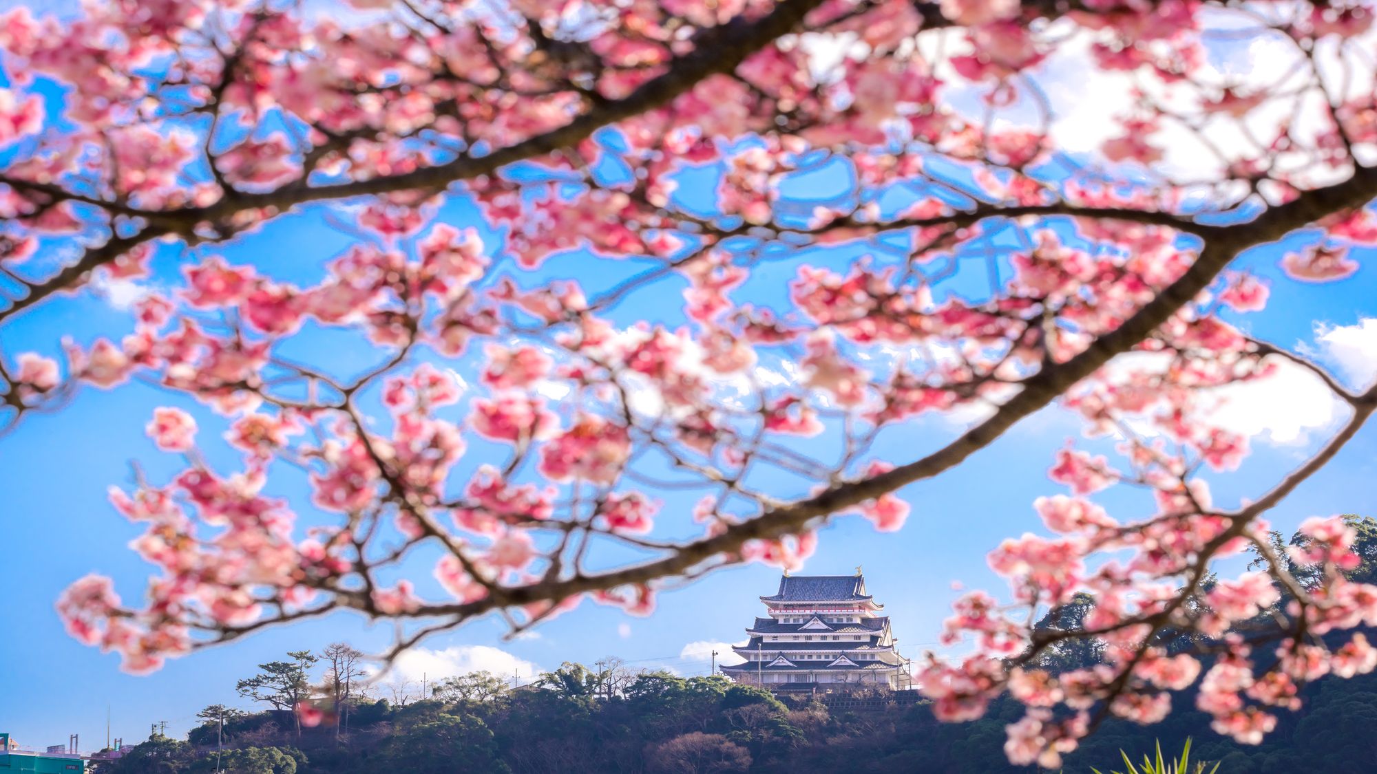 ホテルから車で約15分。熱海城の桜散策