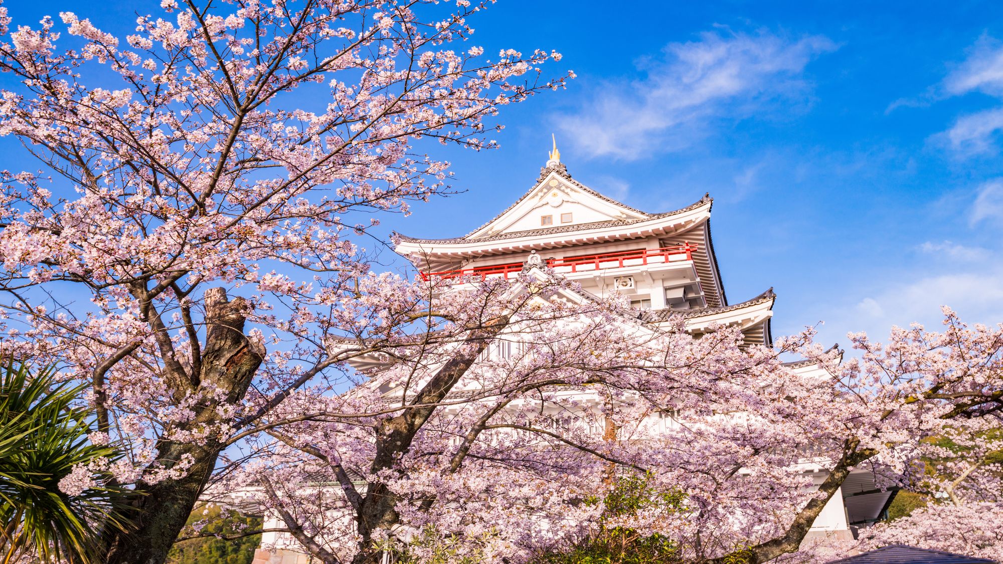 熱海城さくら祭り
