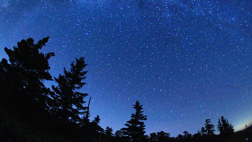 冬は空気が澄んでいる為、星空が一段と綺麗に見れます。