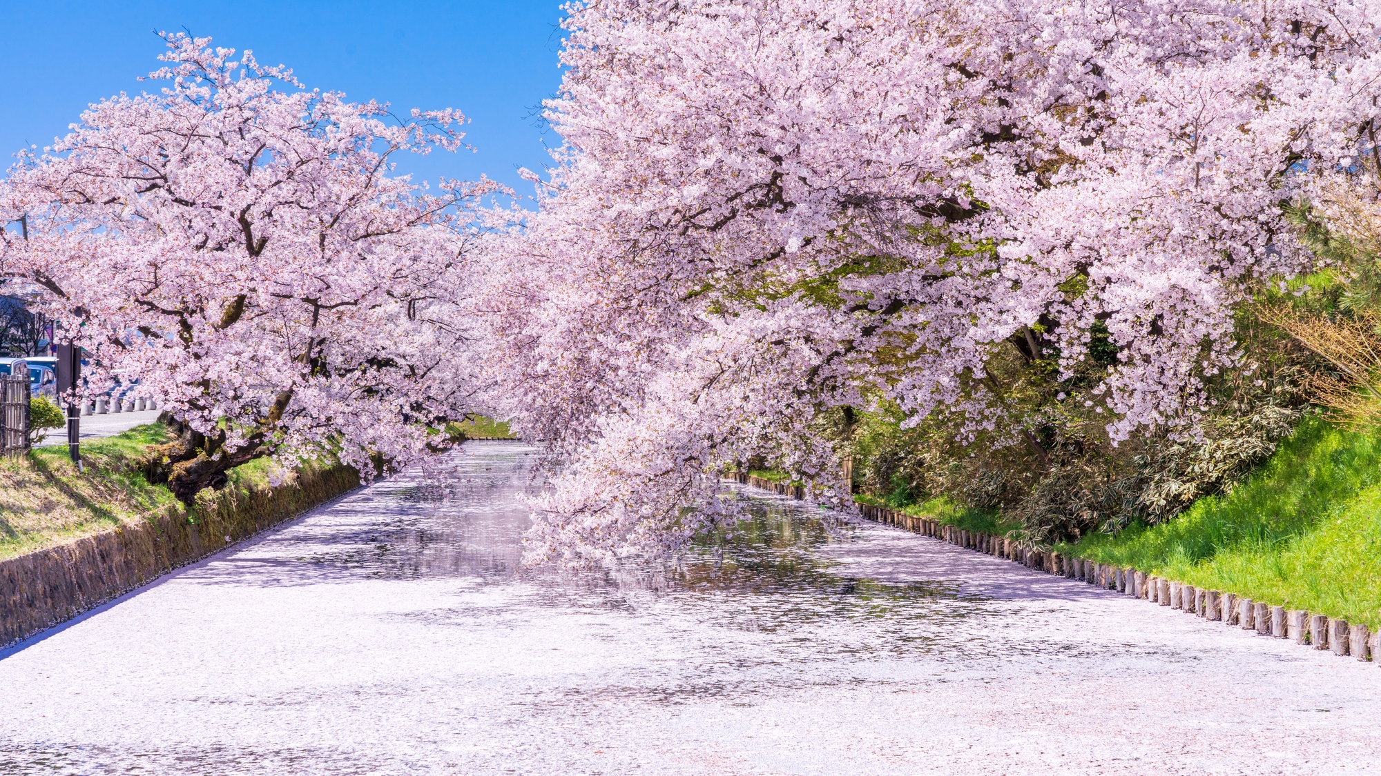【当館から徒歩で約15分】弘前公園