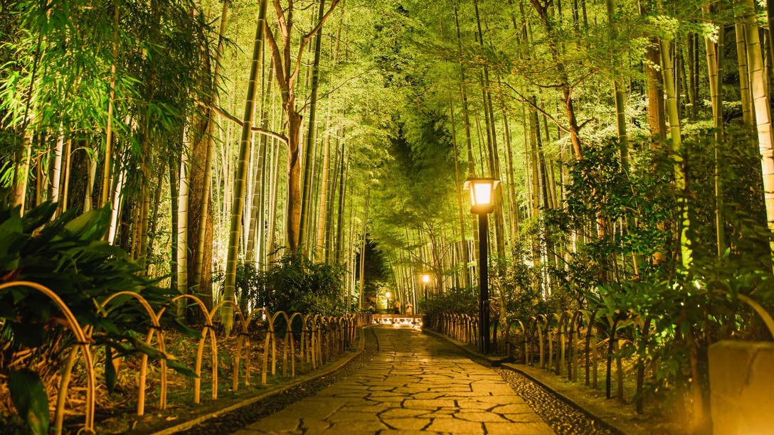 ［女子旅限定］ドラマロケ地『竹林＆赤い橋』×『色浴衣』×『ロクシタン』×『ドリンク』の特典＜2食付＞