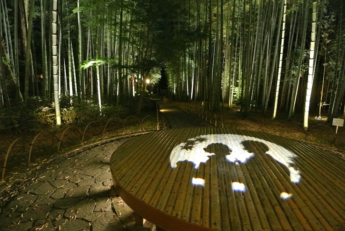 竹林の小径のライトアップは夜20～22時。