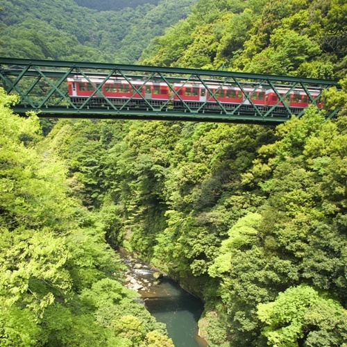 Hotel photo 126 of Gora Onsen Merveille Hakone Gora.