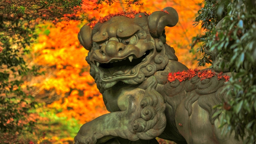 【箱根神社】情緒を感じる秋