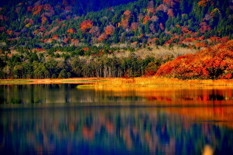 宇曾利湖の秋