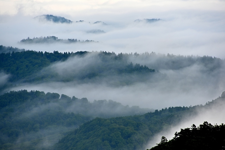 恐山展望台からの朝霧