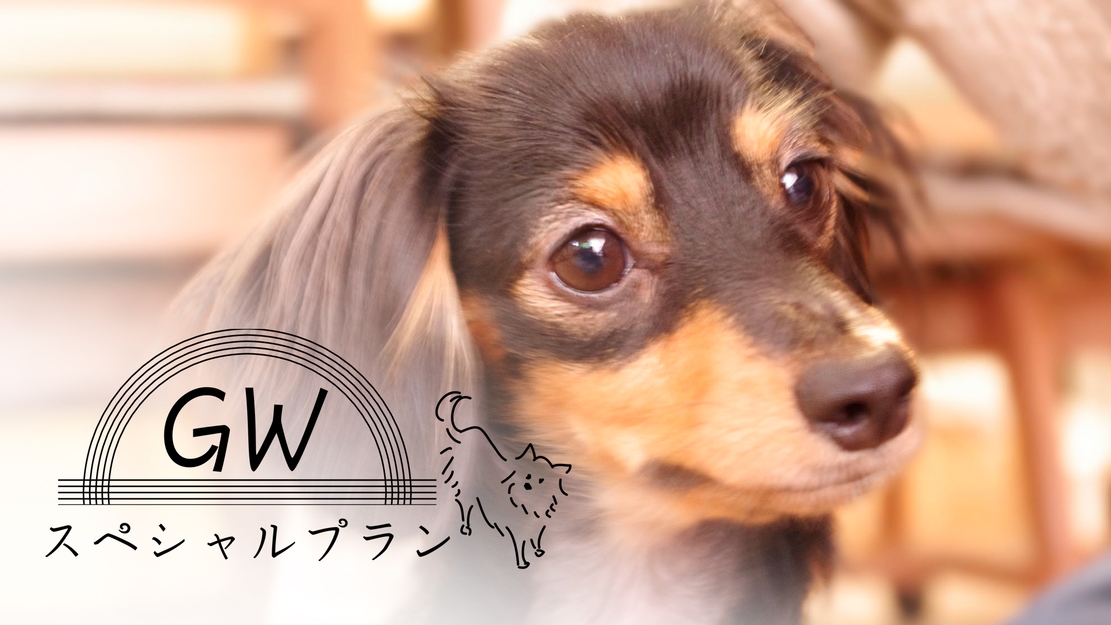 【GW限定★1日1部屋限定！】2食付き◇こだわりの和食膳×天然温泉【愛犬と一緒に♪】