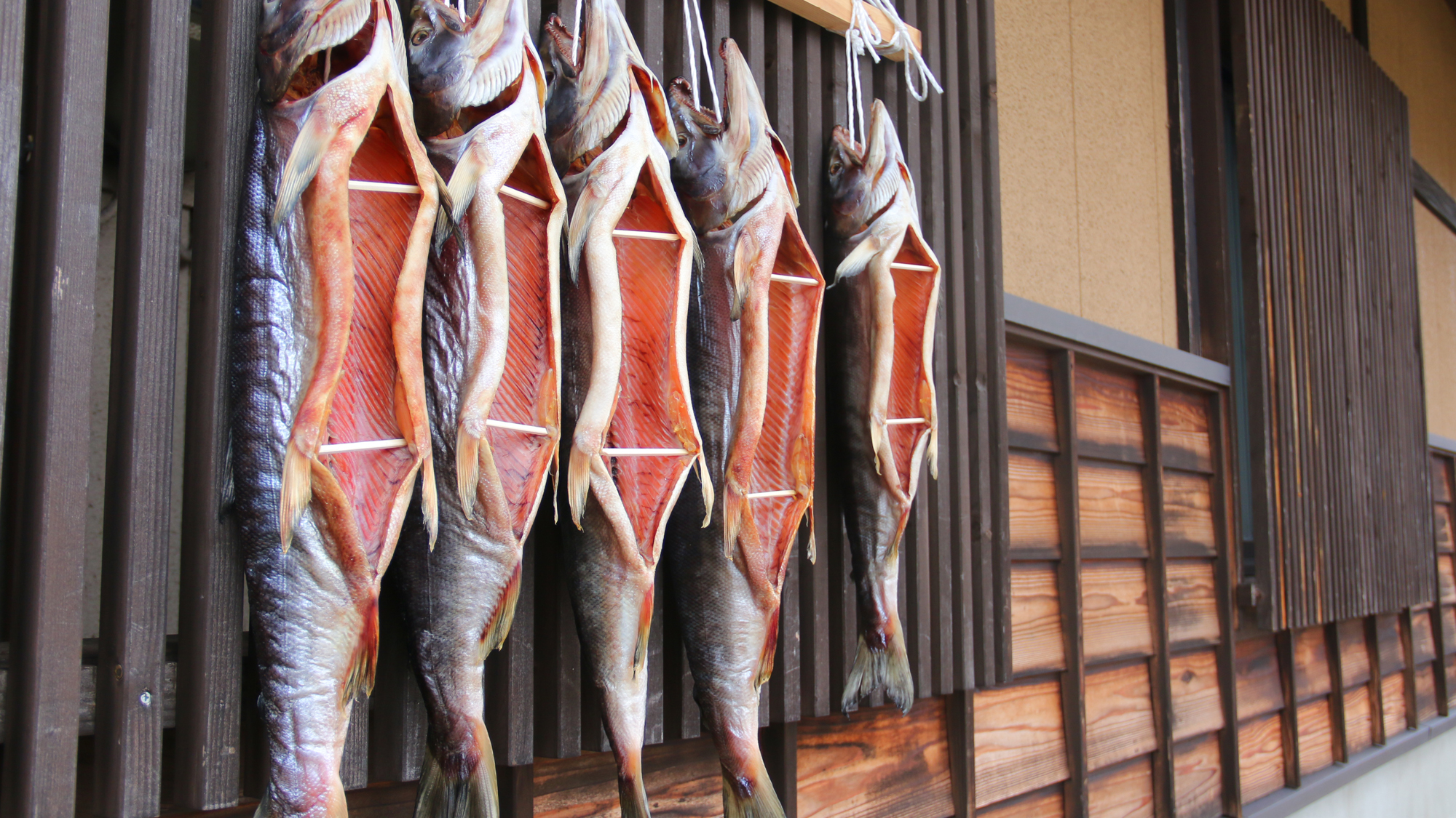 自家製の塩引き鮭は天日干しで