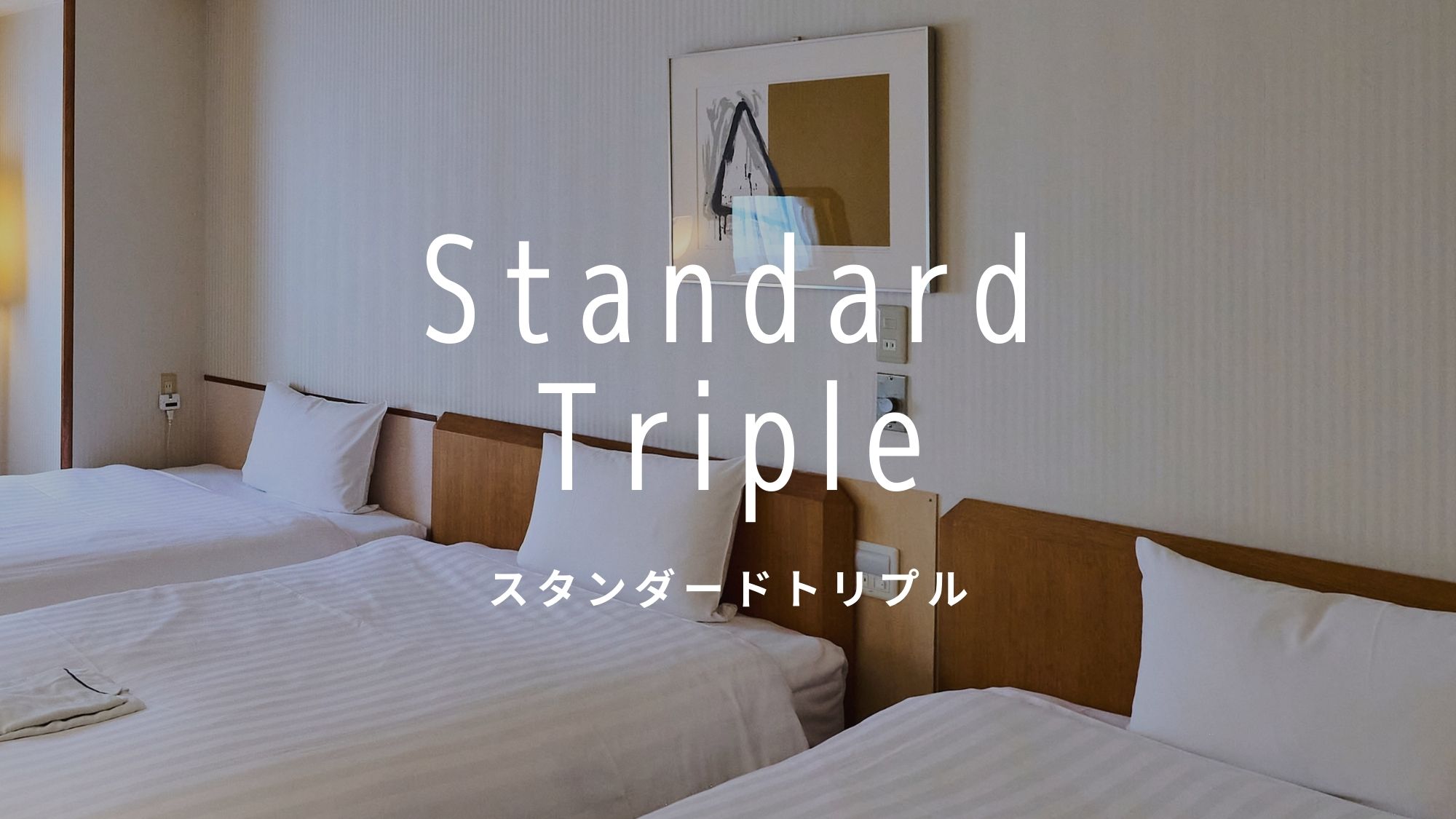 Standard Triple