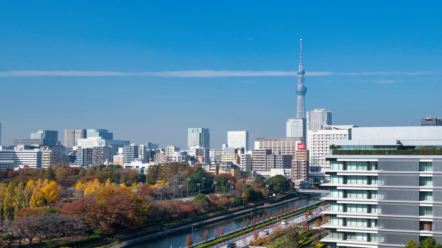 【楽天スーパーSALE】【素泊まり】■「住吉駅」「西大島駅」から徒歩5分　■都内主要駅アクセス抜群
