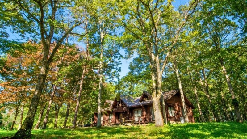 【ペット宿泊OK！】木々に囲まれのんびり過ごす　コテージ素泊りプラン　2026