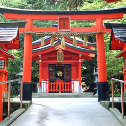 箱根神社境内にある九頭龍神社新宮。徒歩15分ほど