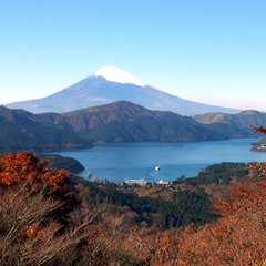 大観山からの眺望。お車で２０分ほど