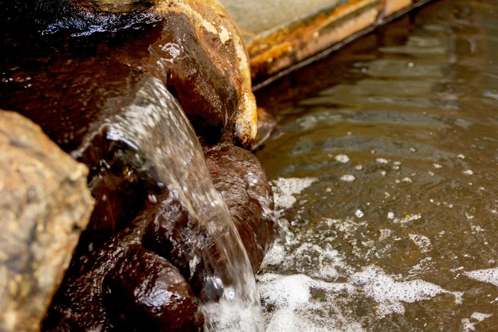茶色の湯が印象的な、天然温泉「はこだて大森の湯」