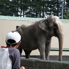 帯広動物園