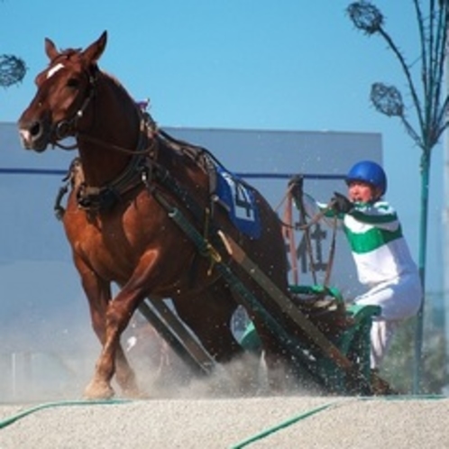 ばんえい競馬の様子