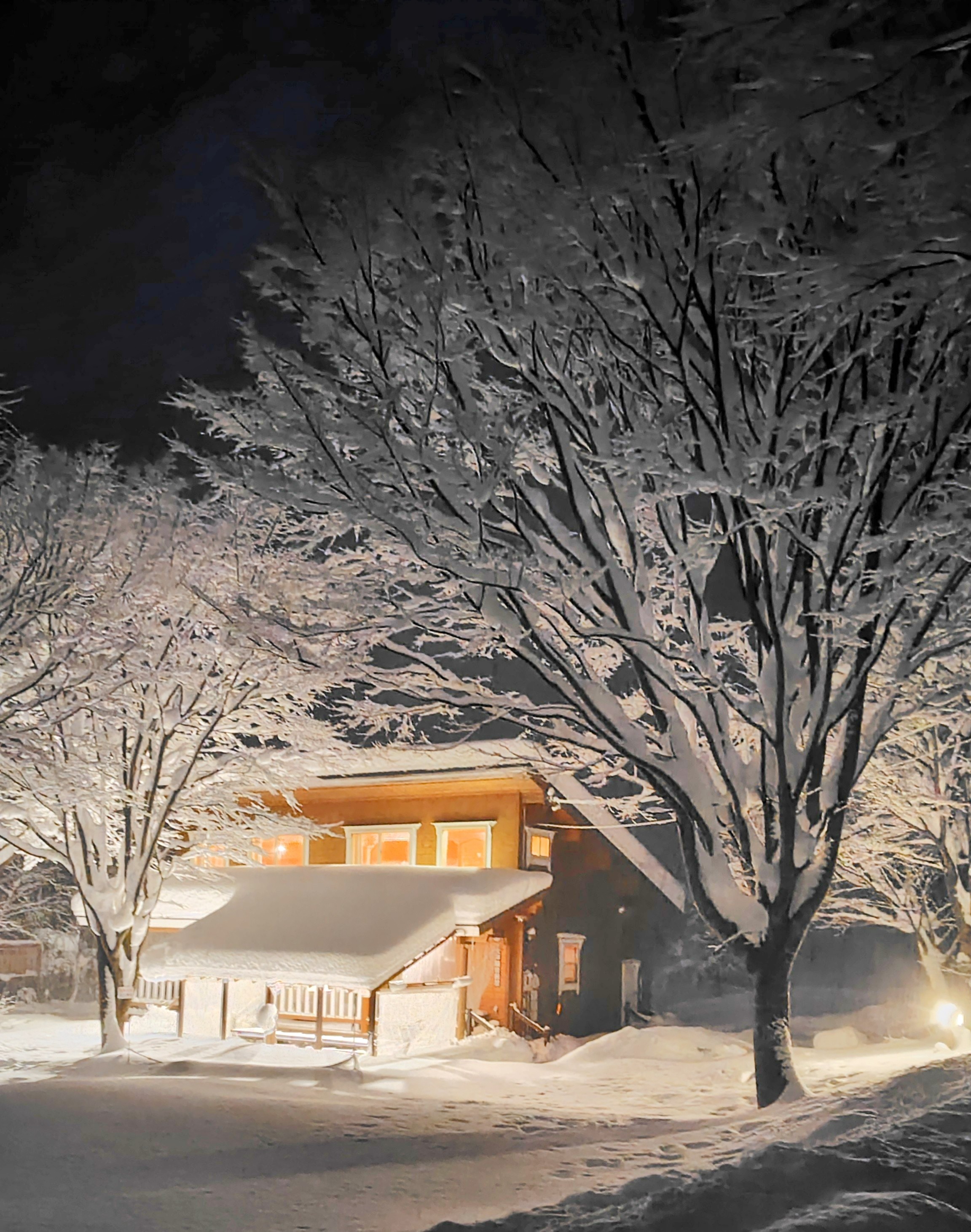 夜のだんだん村の雪景色